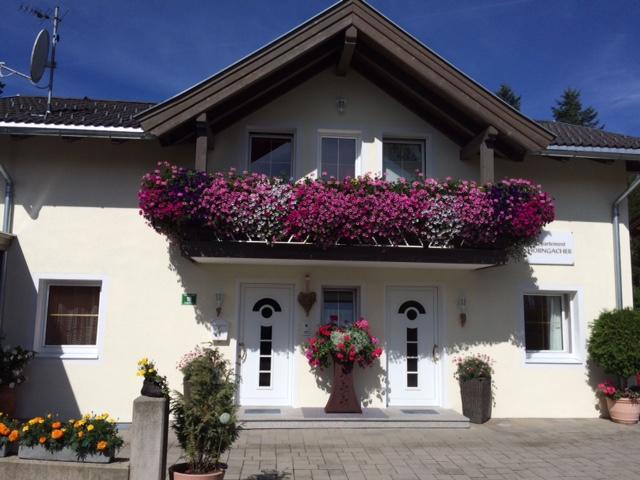 Appartement Horngacher Scheffau am Wilden Kaiser Exterior foto