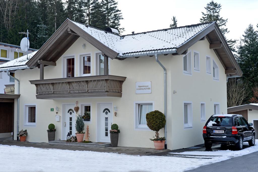 Appartement Horngacher Scheffau am Wilden Kaiser Exterior foto