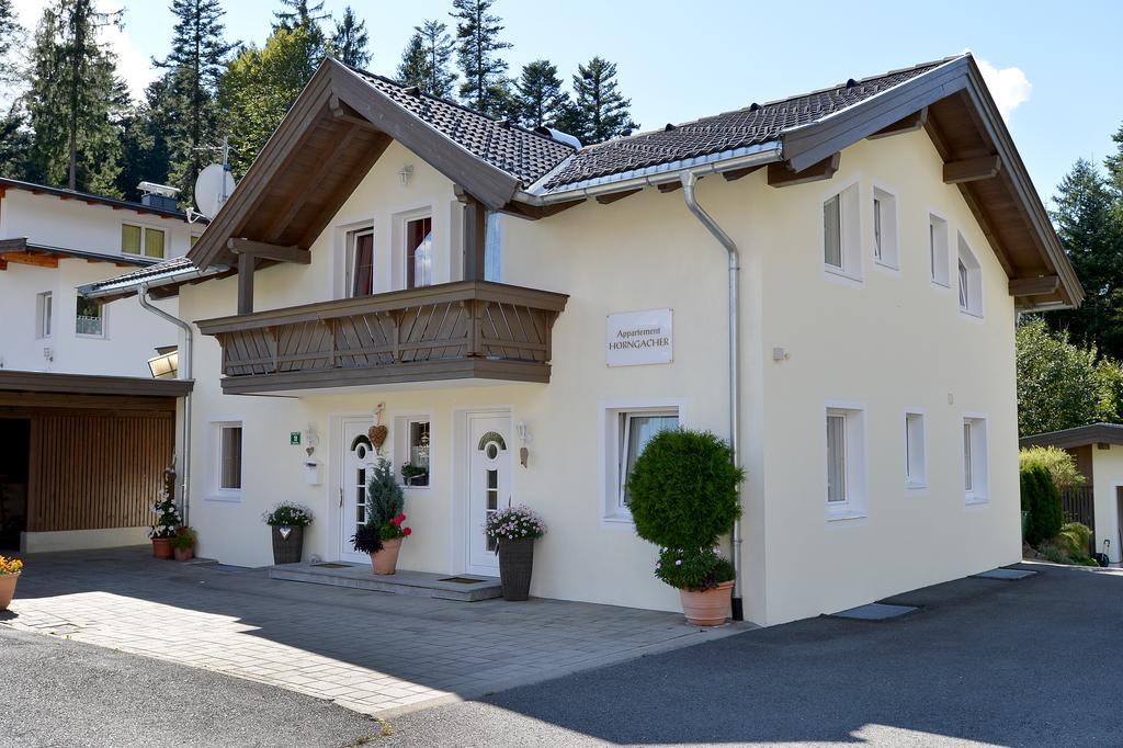 Appartement Horngacher Scheffau am Wilden Kaiser Exterior foto